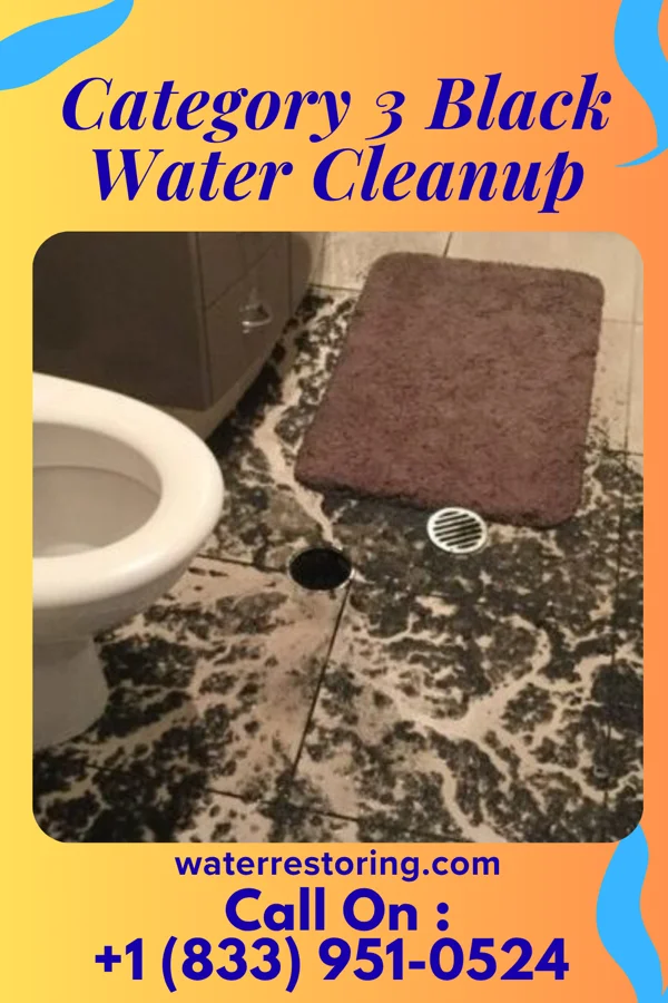 Category 3 Black Water Cleanup in Harbor View, OH
