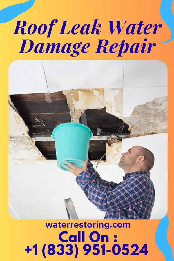 Roof Leak Water Damage Repair in Harbor View, OH