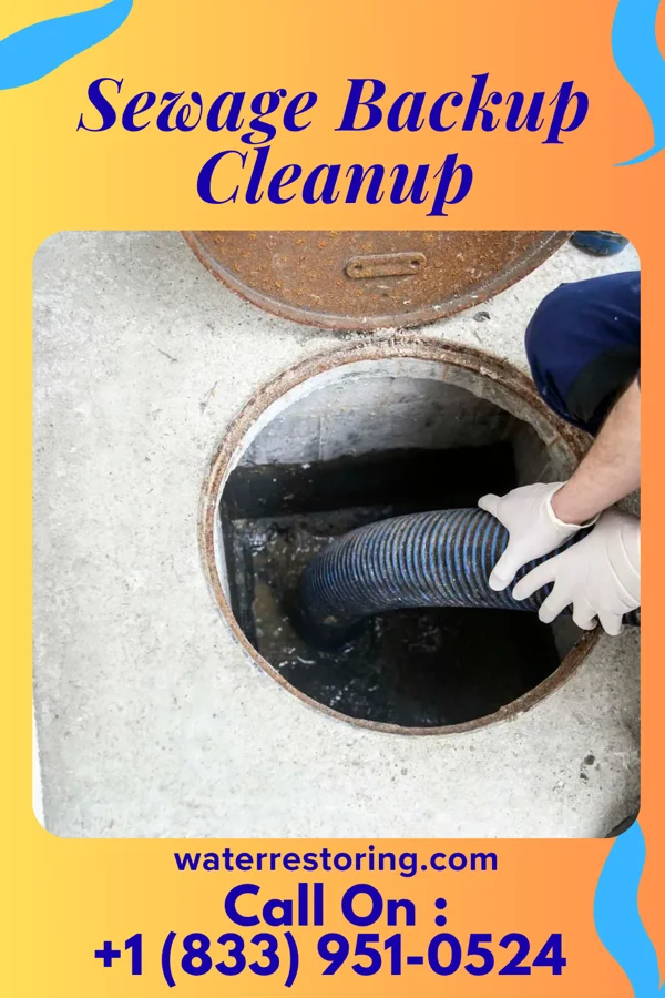 Sewage Backup Cleanup in Harbor View, OH
