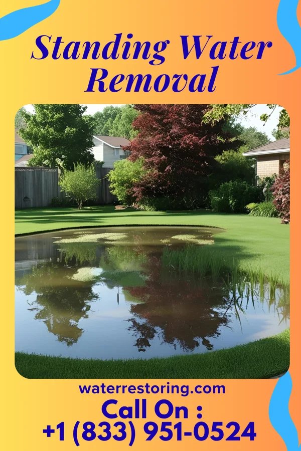Standing Water Removal in Harbor View, OH